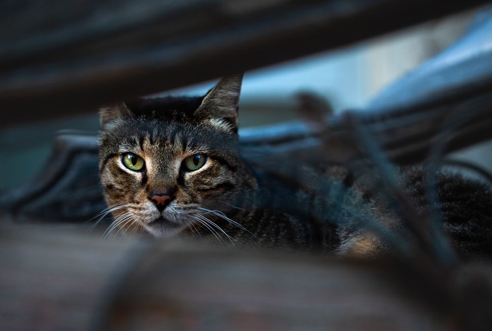 Photograph by Nadia Gorokh