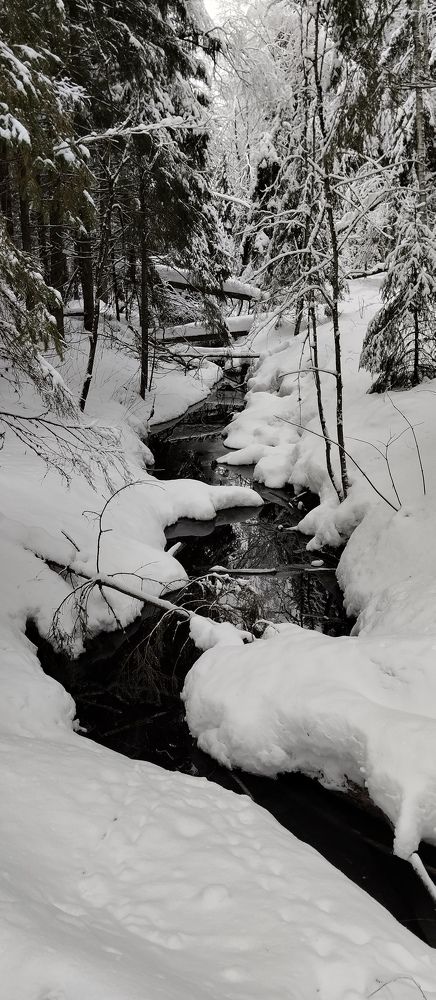 Фотография автора Елена Малкова