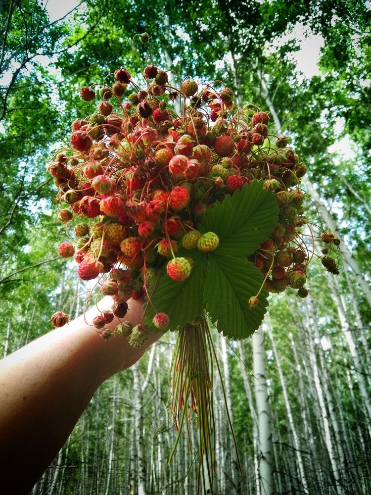 Photograph by Кулешова Анастасия