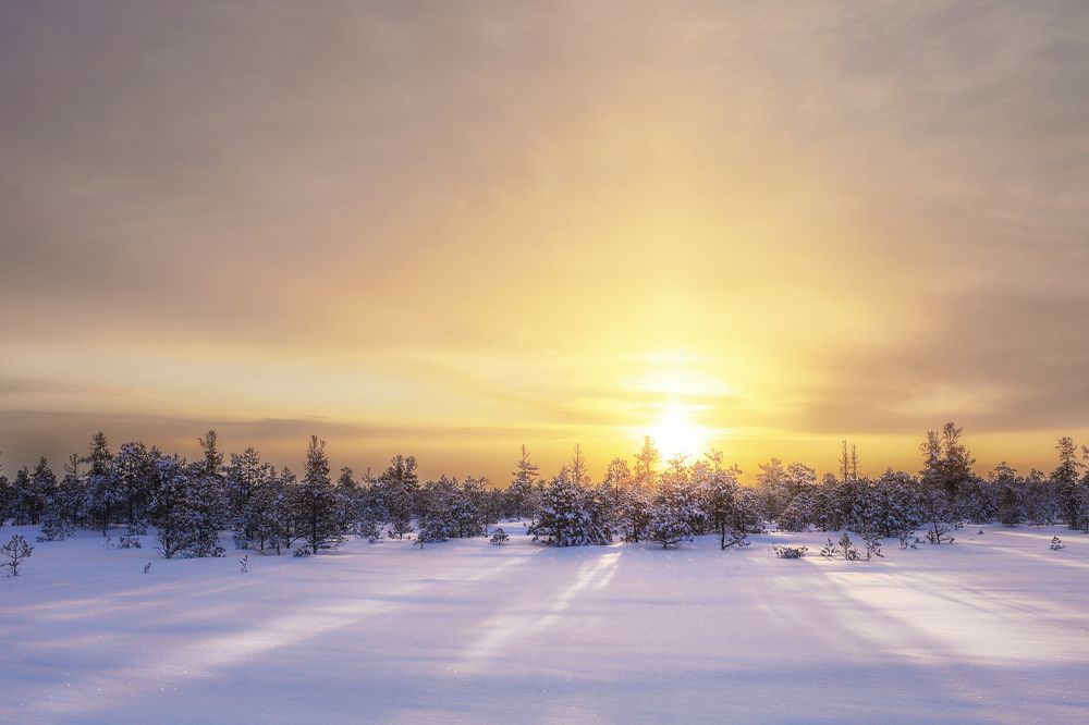 Photograph by Денис Григорьев