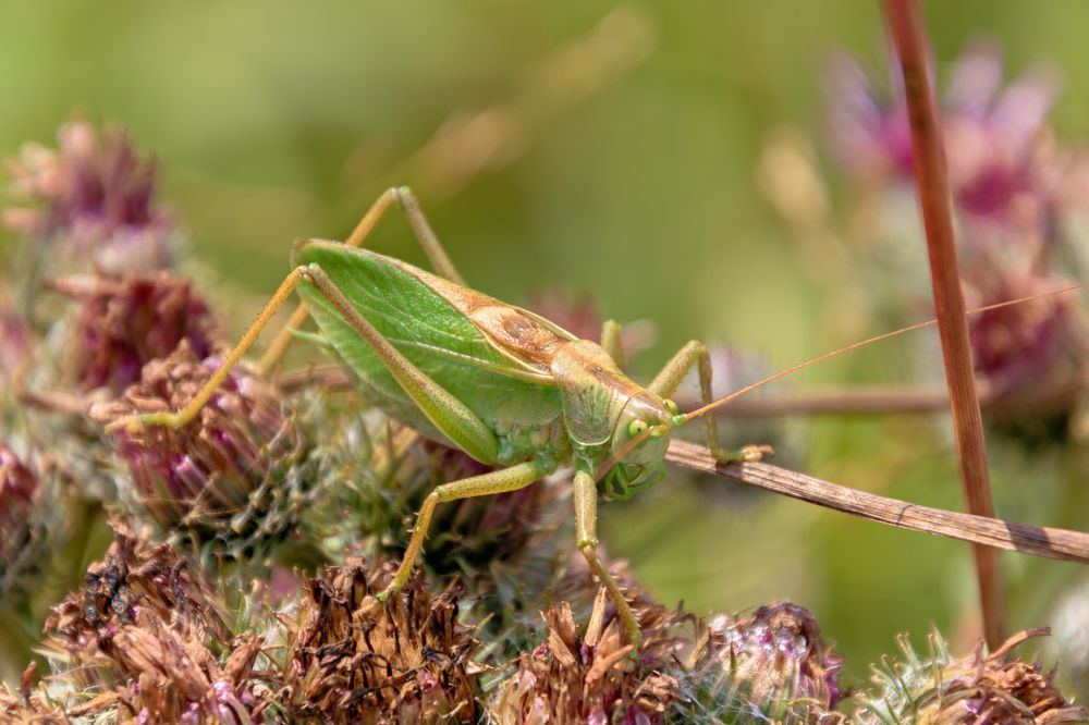 Photograph by Эдуард Седельник