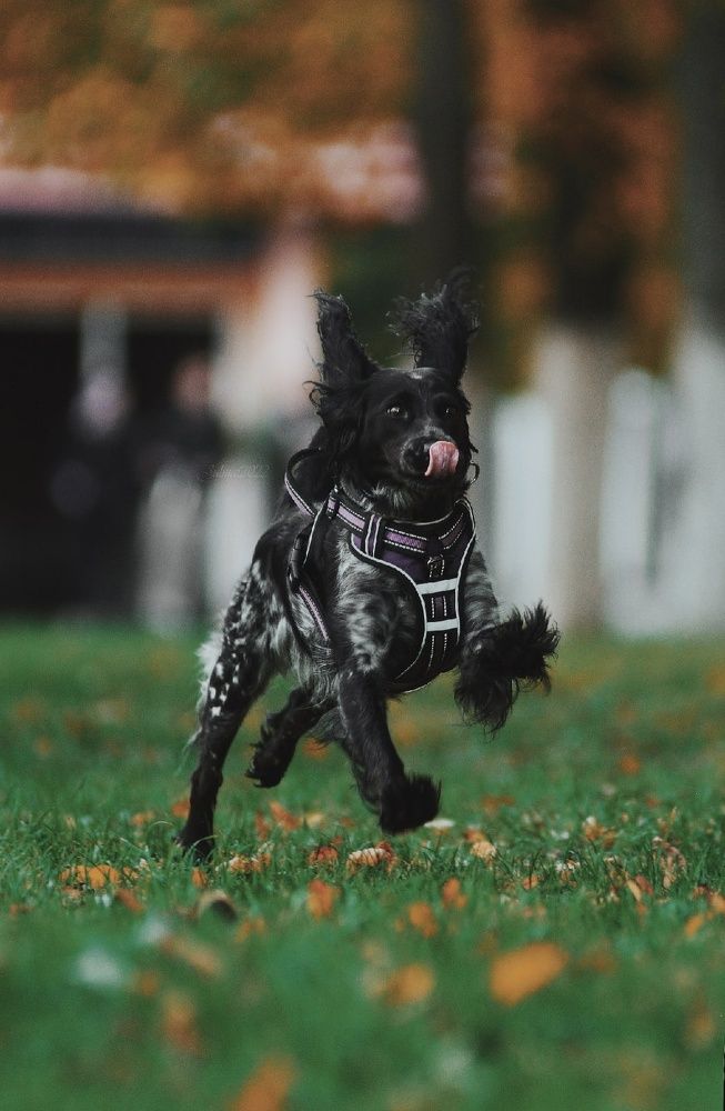 Photograph by Юлия Майорова