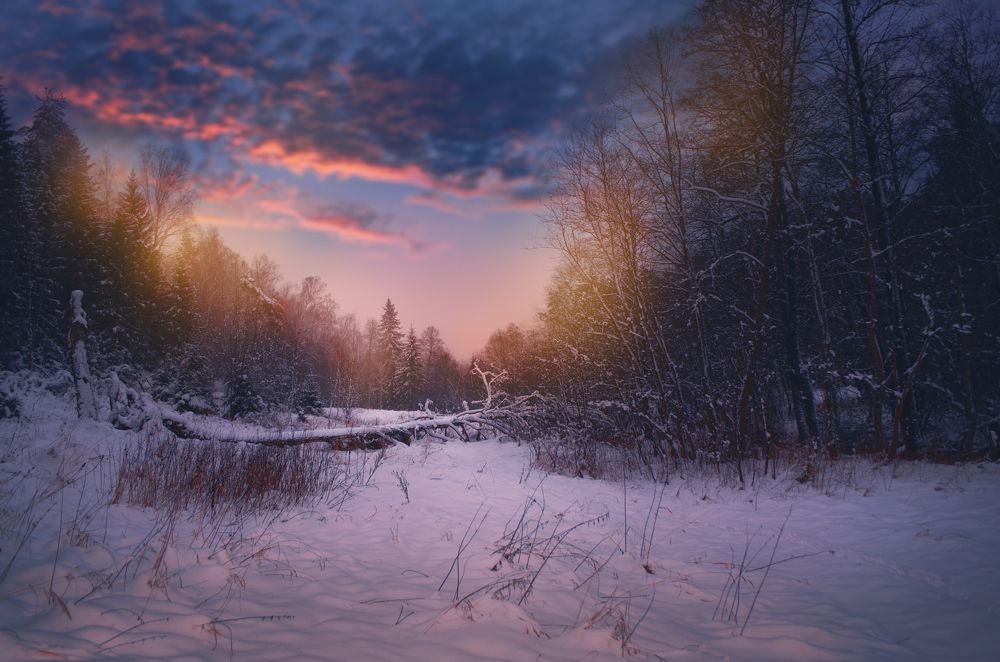 Photograph by Наталья Золотарева