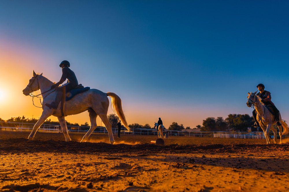 Photograph by Zubair Irshad