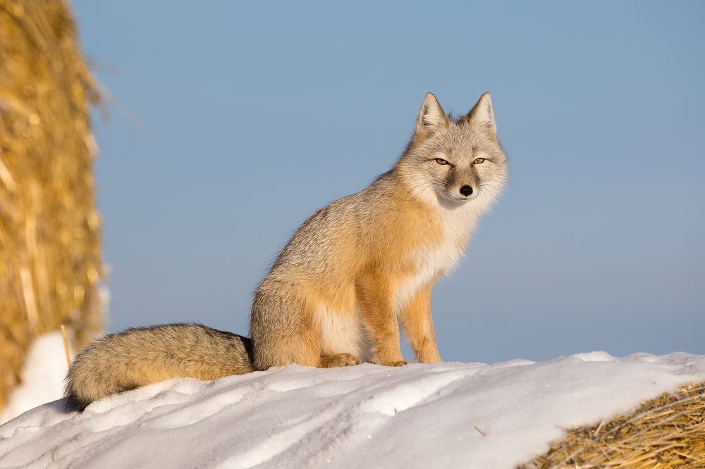 Photograph by Дина Нестеркова