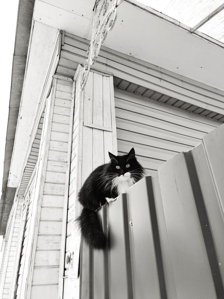 Photograph by Вячеслав Щёголев