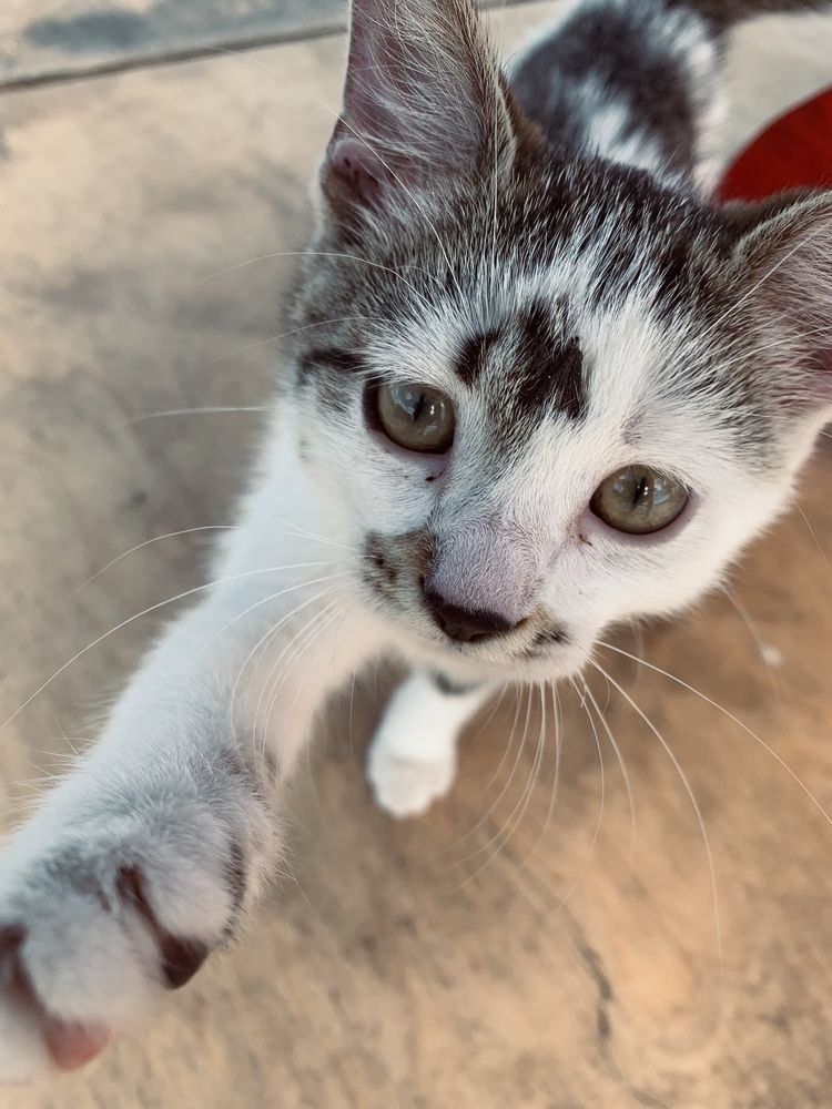 Photograph by Ольга Томашевич