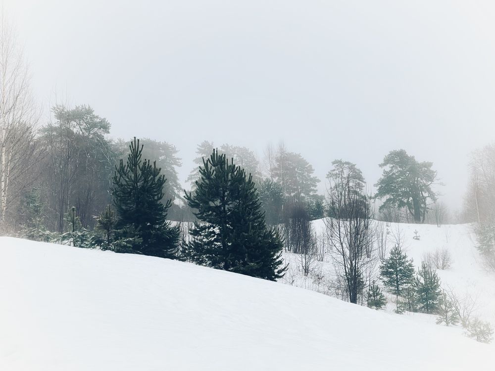 Photograph by Evgenia Barinova