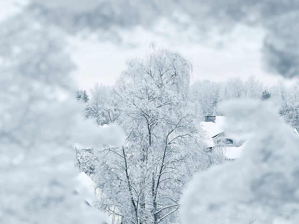 Photograph by Evgenia Barinova