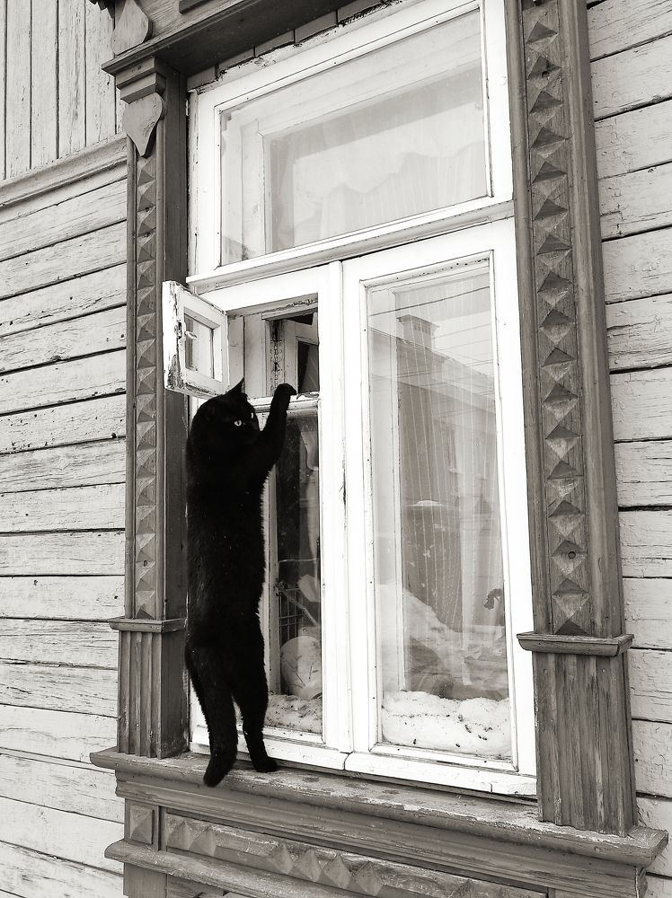 Photograph by Вячеслав Щёголев