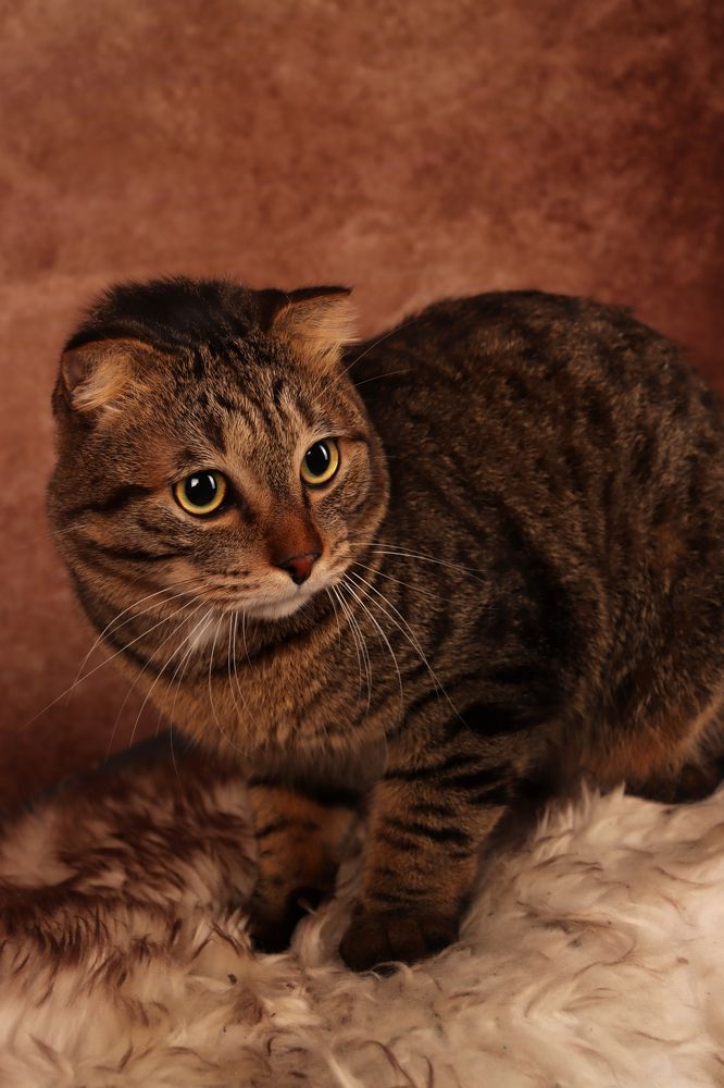 Photograph by Марина Семенова