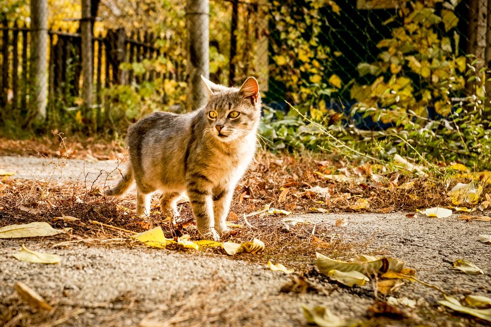 Photograph by Кристина Присакарь