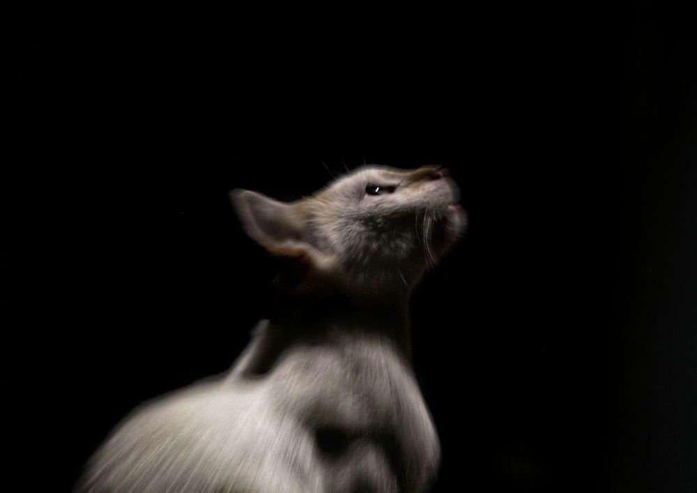 Photograph by Pheap Sophinh