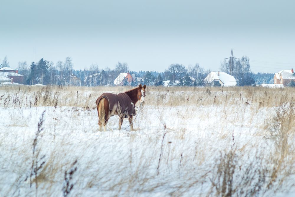 Photograph by Галина Шарапова