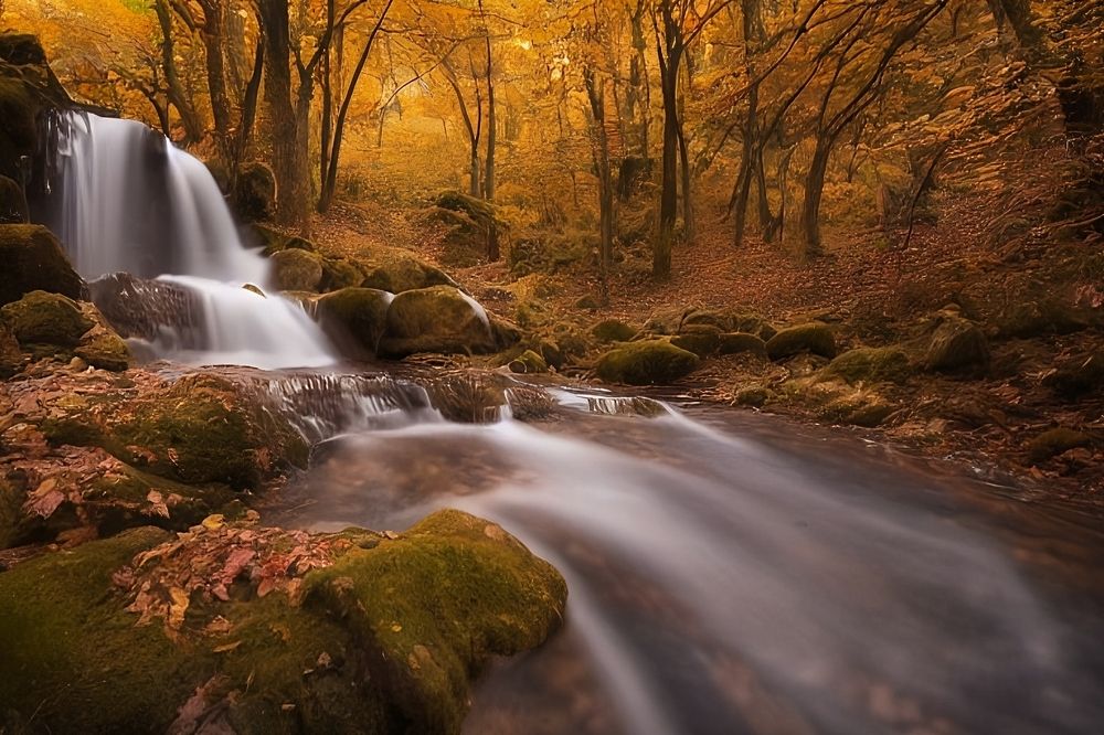 Photograph by Антон Иванов