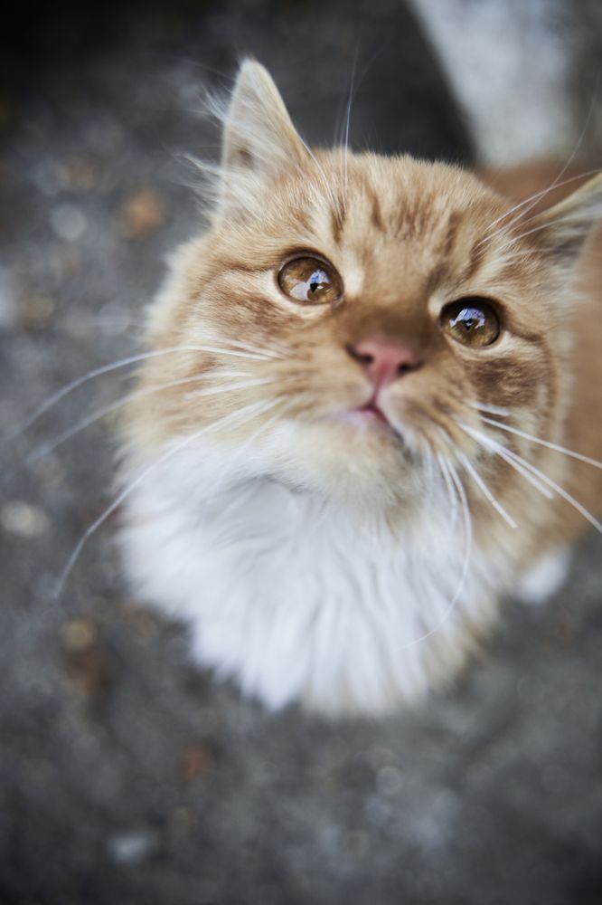 Photograph by Кристина Присакарь