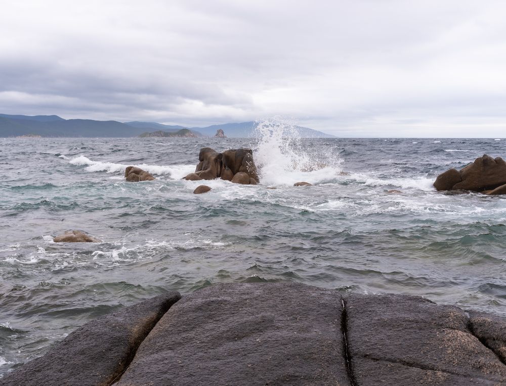 Photograph by Сыворотка Елена