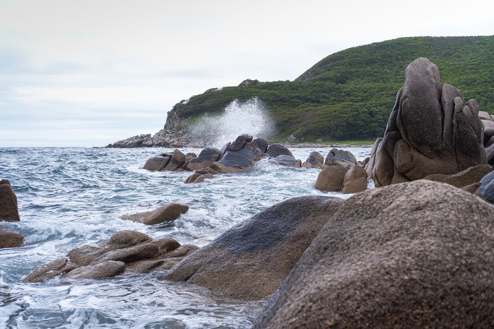 Photograph by Сыворотка Елена