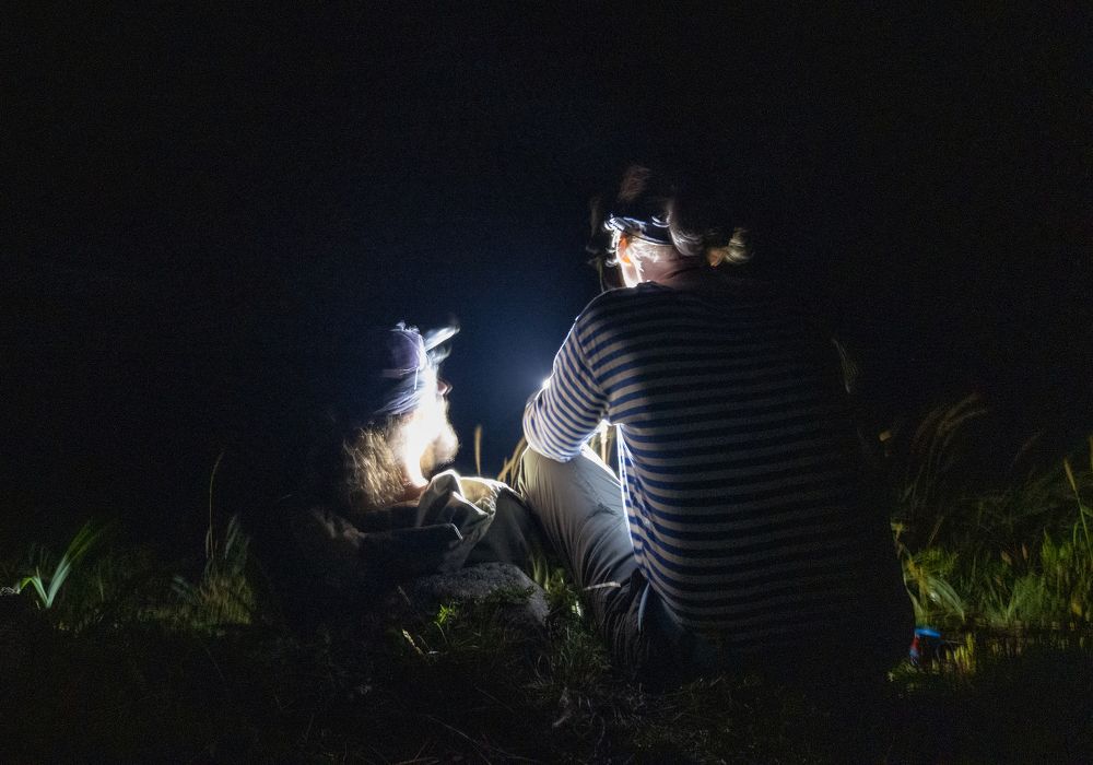 Photograph by Сыворотка Елена