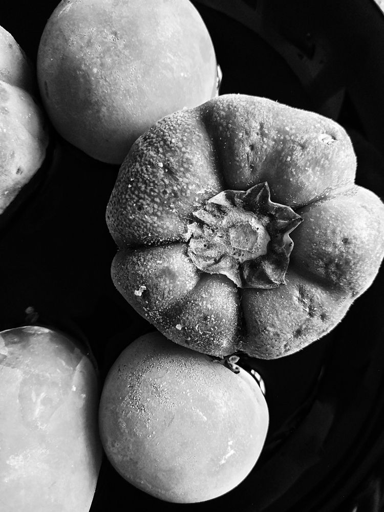 Photograph by Серафима Силина