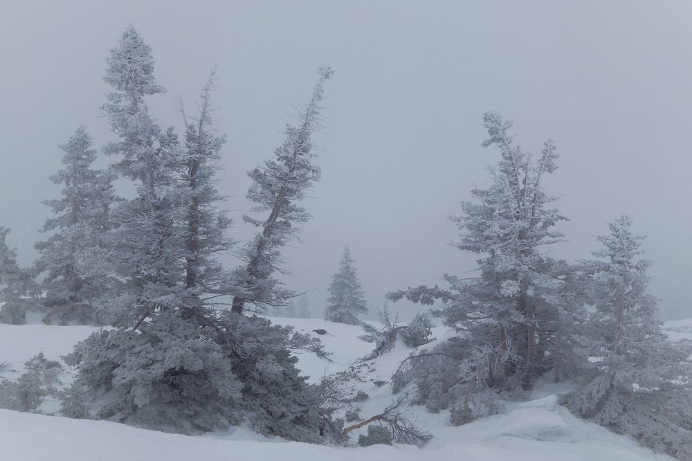 Photograph by Константин Степанов