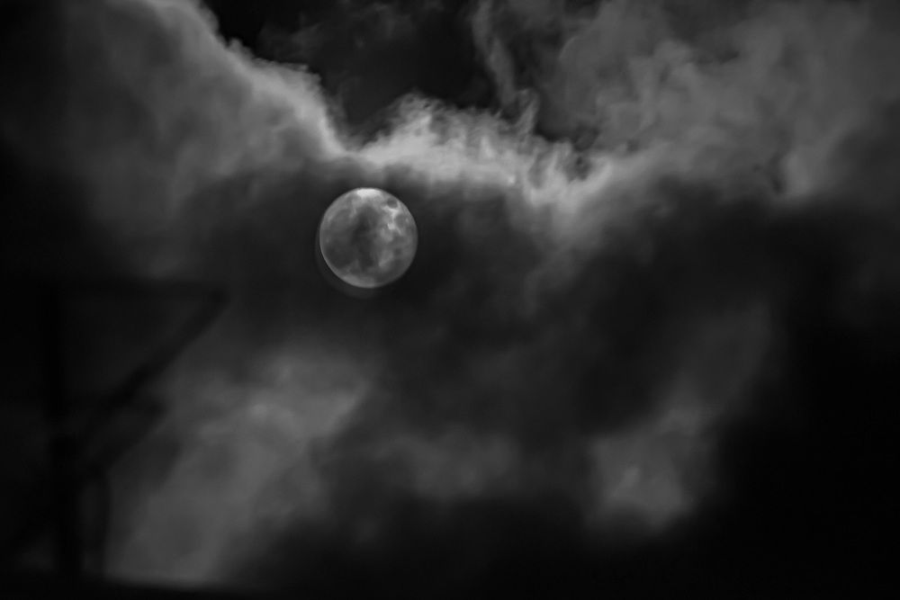 Photograph by Блохина Ольга