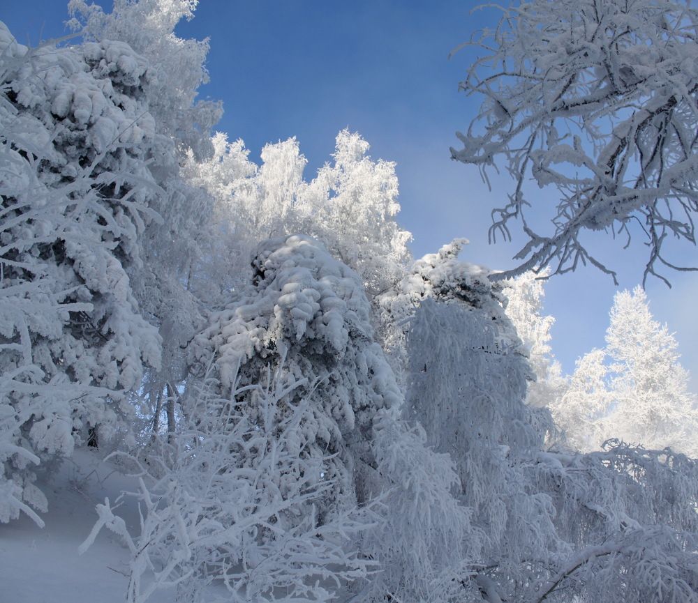 Photograph by Кузнечевская