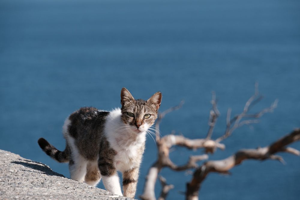 Photograph by Никита Кориков