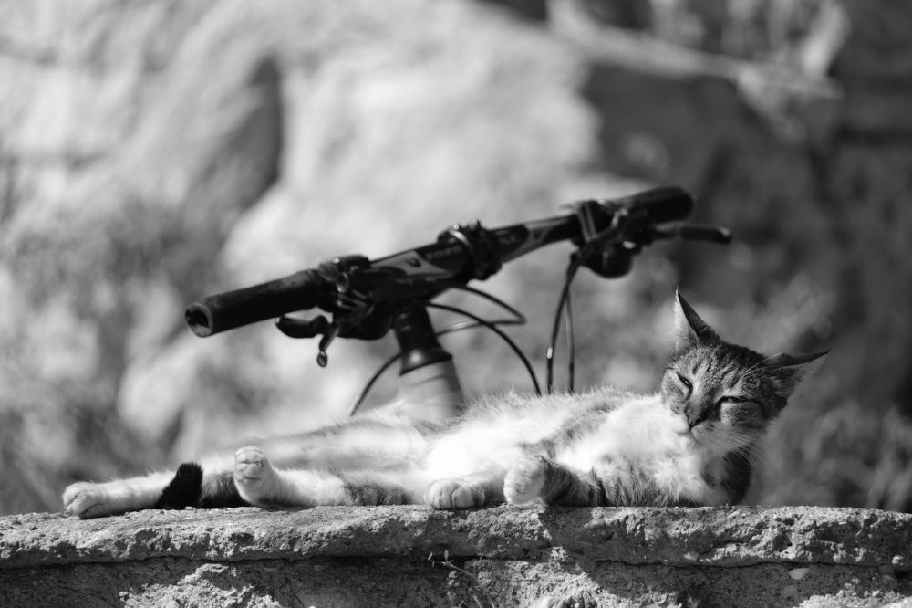 Photograph by Никита Кориков