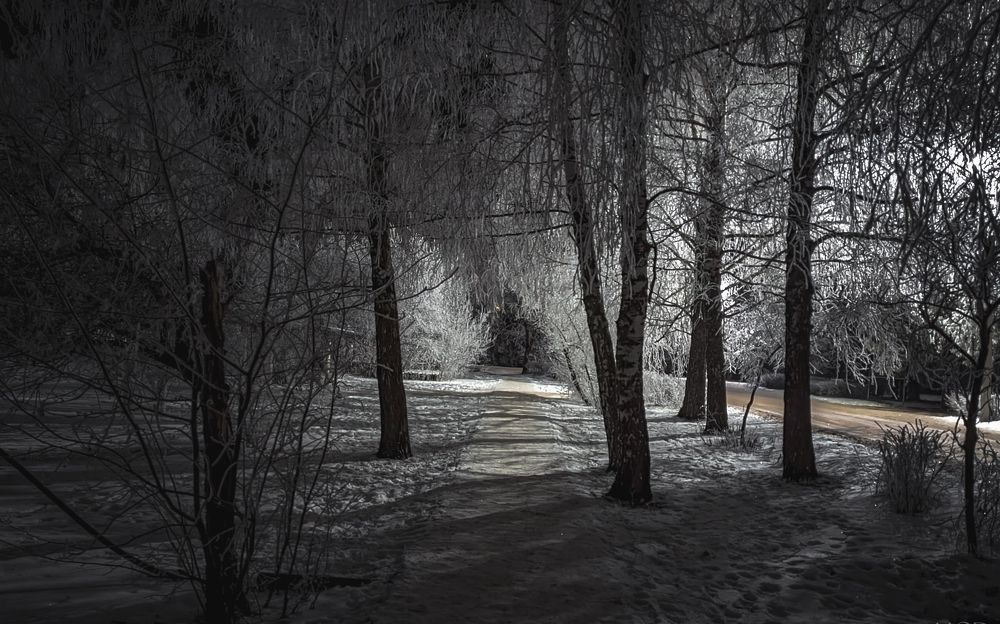 Photograph by Владимир Фролов