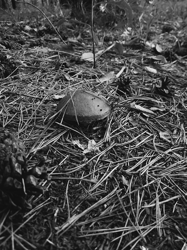 Photograph by Серафима Силина