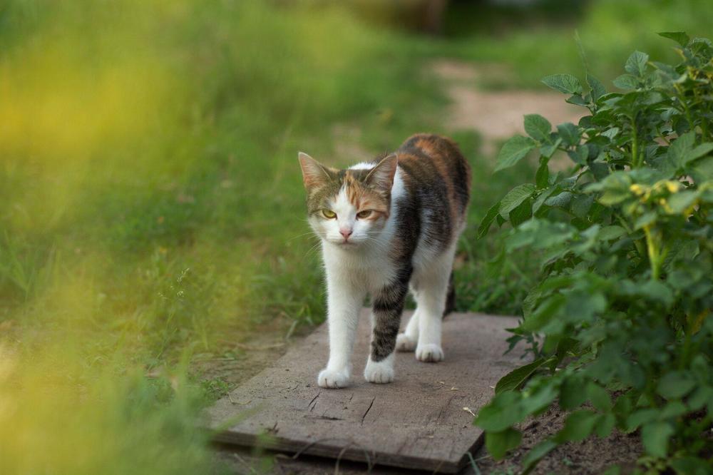 Photograph by Елена Миролюбова