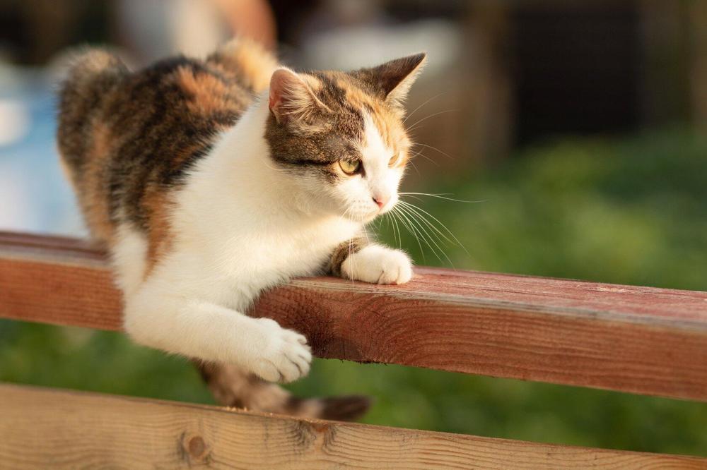 Photograph by Елена Миролюбова