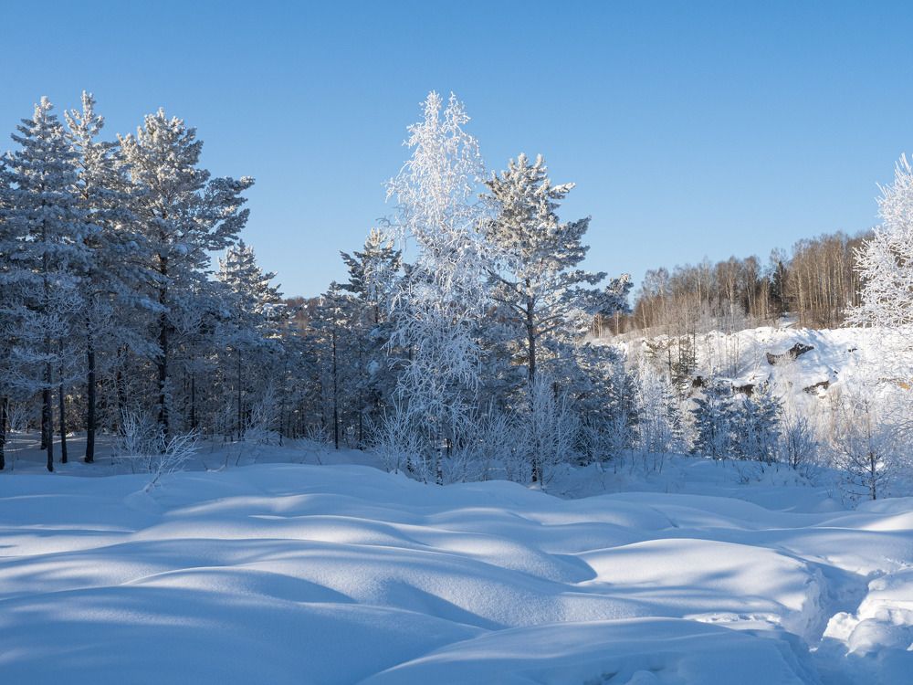 Photograph by Геннадий Покидов