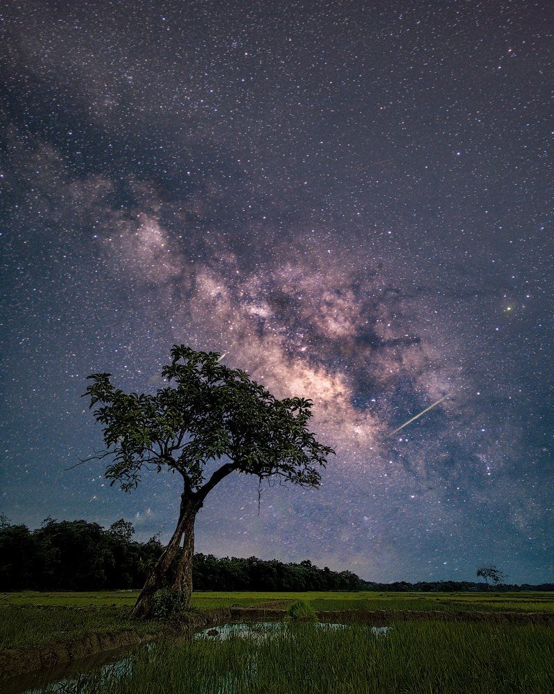 Photograph by Khirud Borah