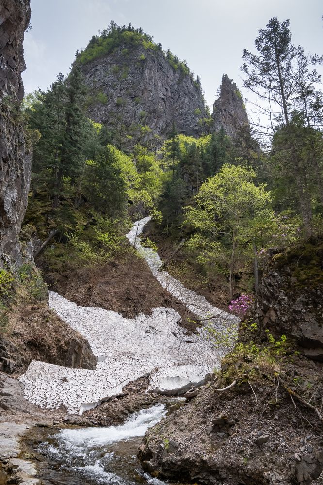 Photograph by Сыворотка Елена