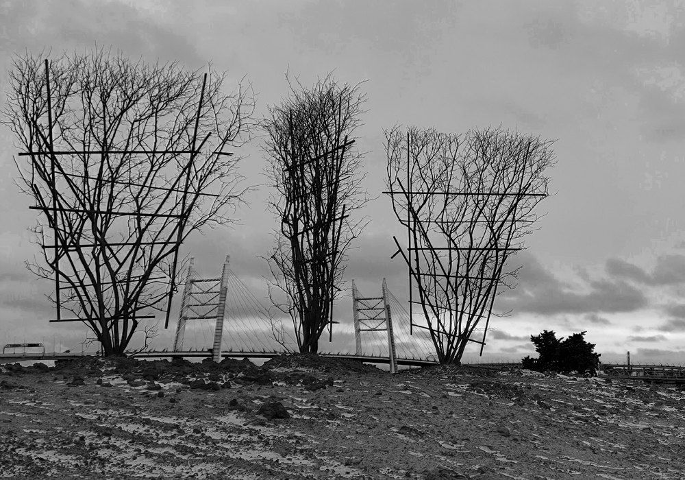 Photograph by Алексей Гнедовский