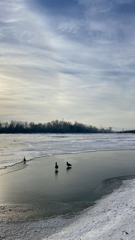 Photograph by Марина Толстопятова