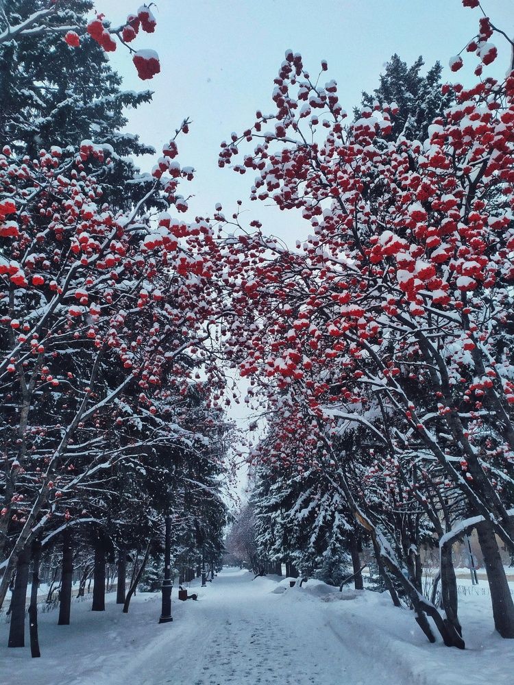 Photograph by Татьяна Cамсонова