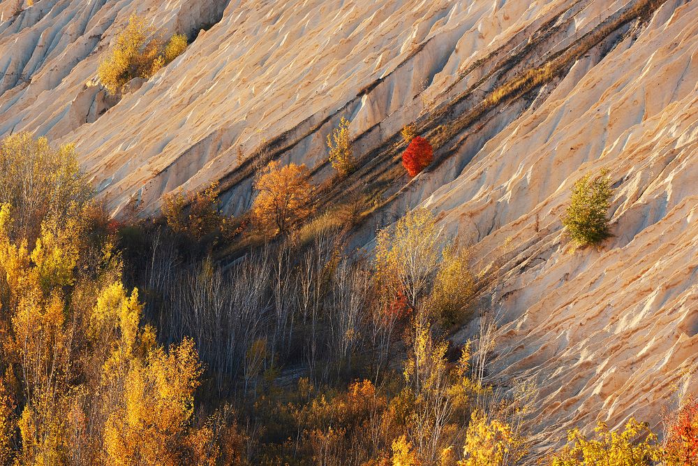 Photograph by Андрей Cоколов