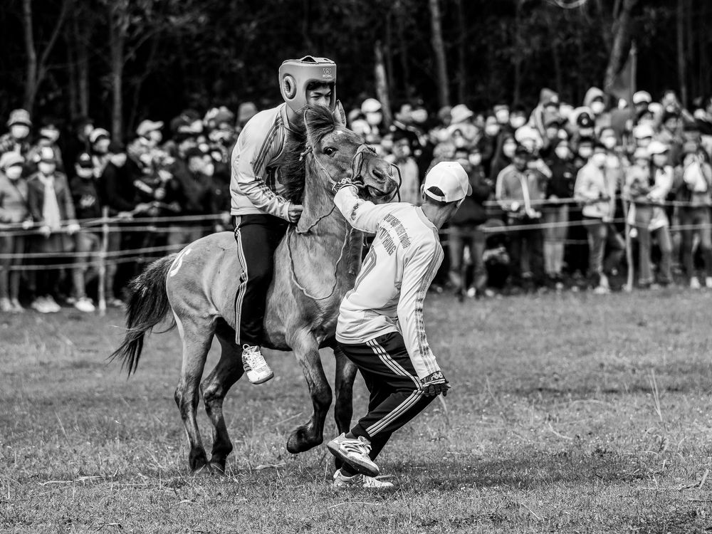 Фотография автора Pham Anh Vu