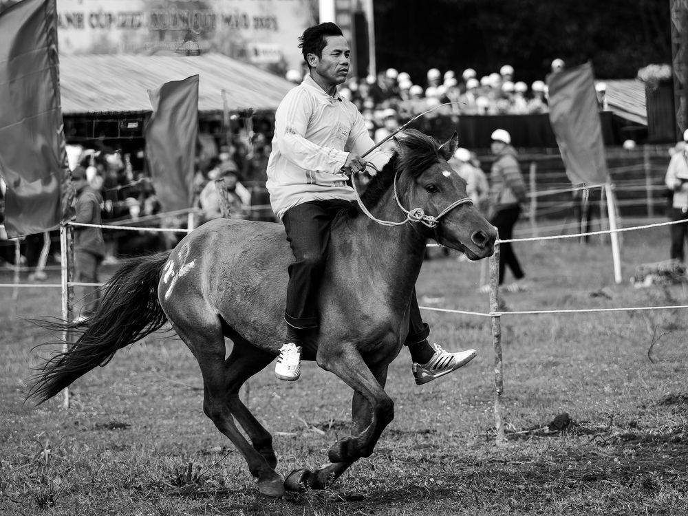 Фотография автора Pham Anh Vu