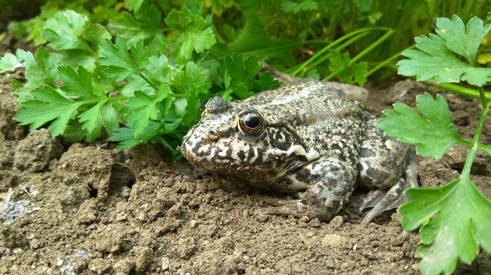 Photograph by Дмитрий Леонтенко