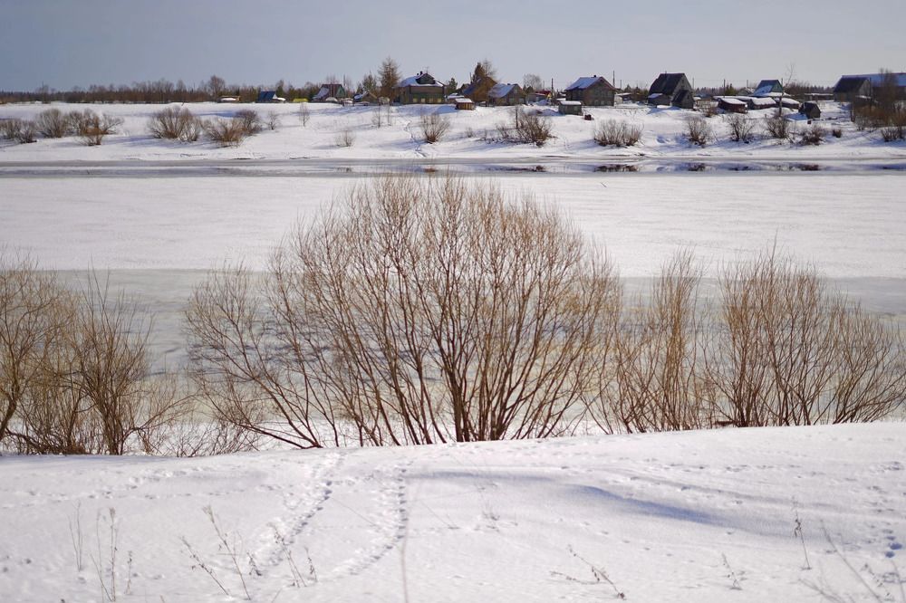 Photograph by Наталья Баранова