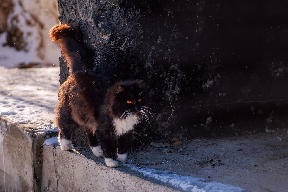 Photograph by Natalia Badyul