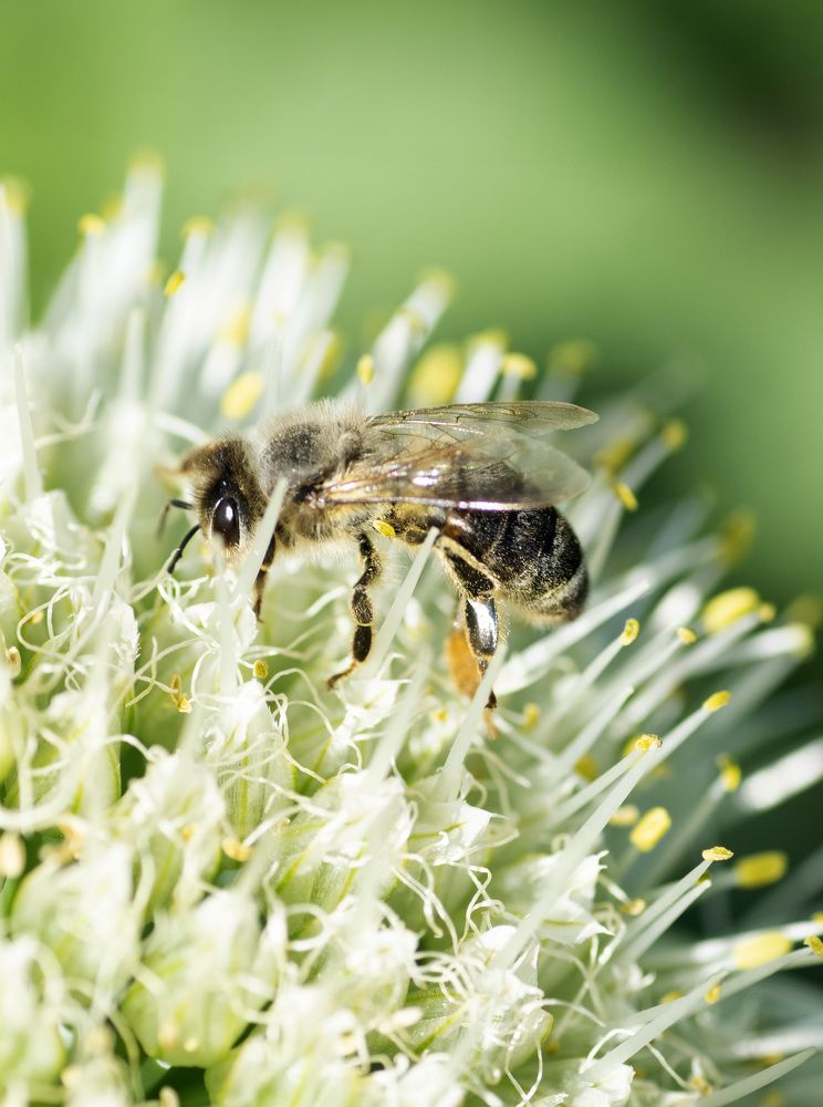 Photograph by Эльвира Быкова