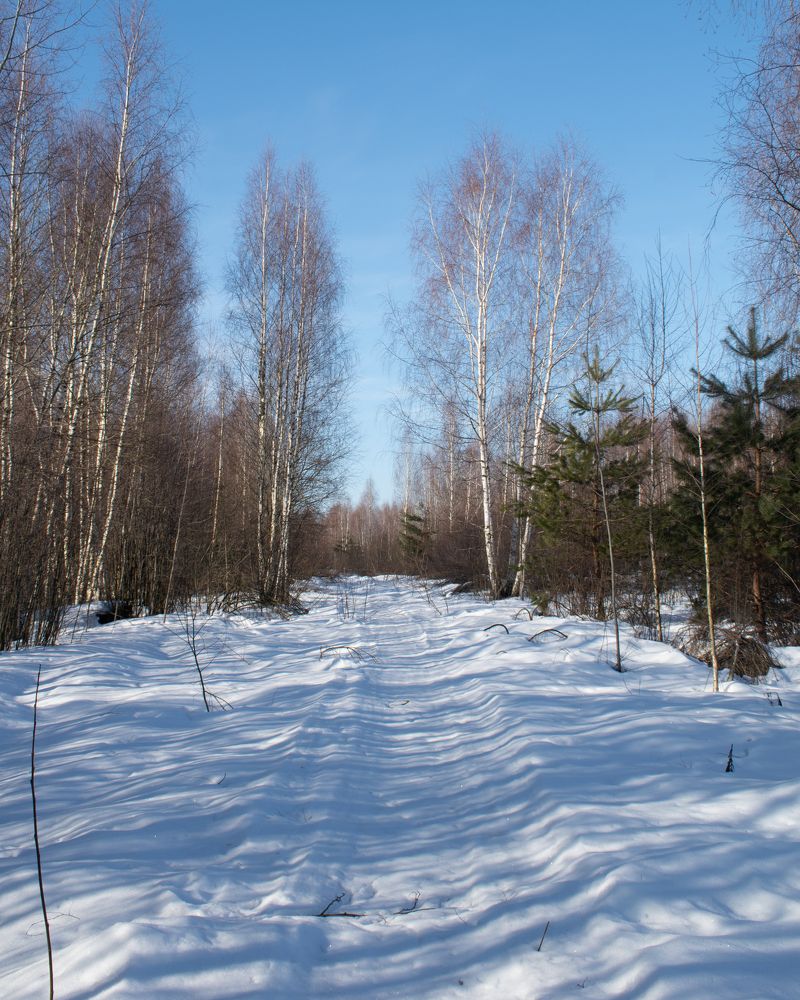 Photograph by Татьяна Носкович