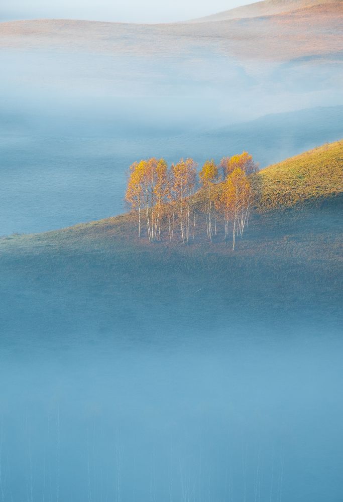 Photograph by Alexandru Pavel