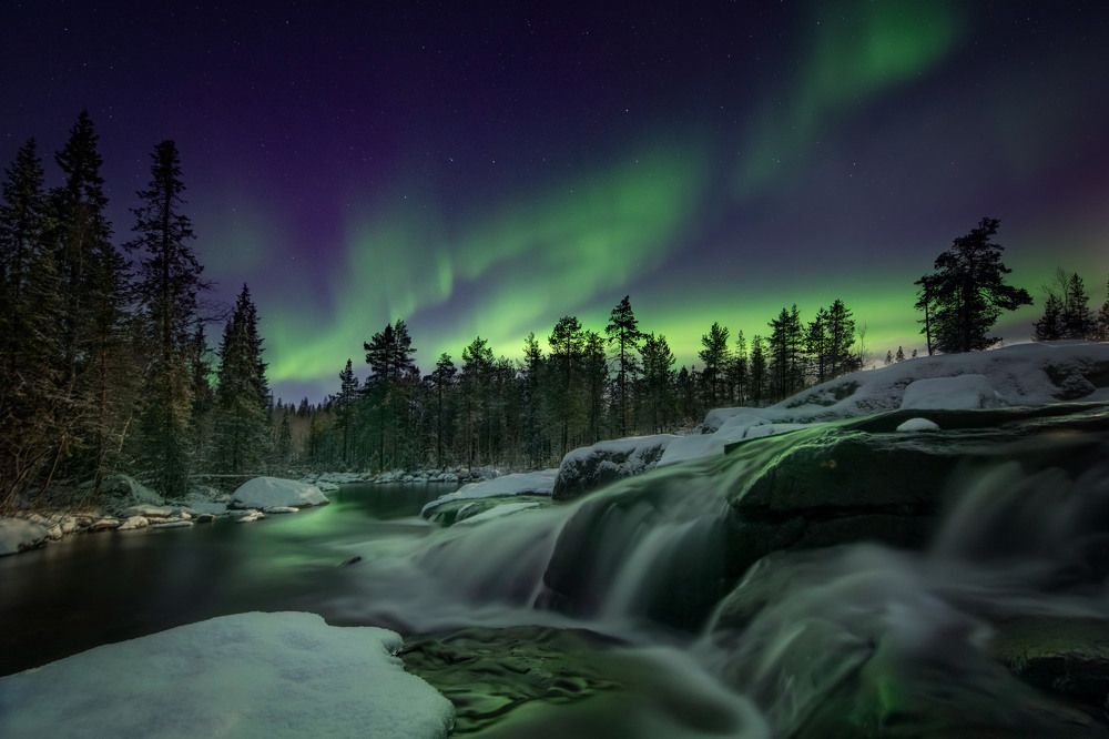 Photograph by Елена Ермолина