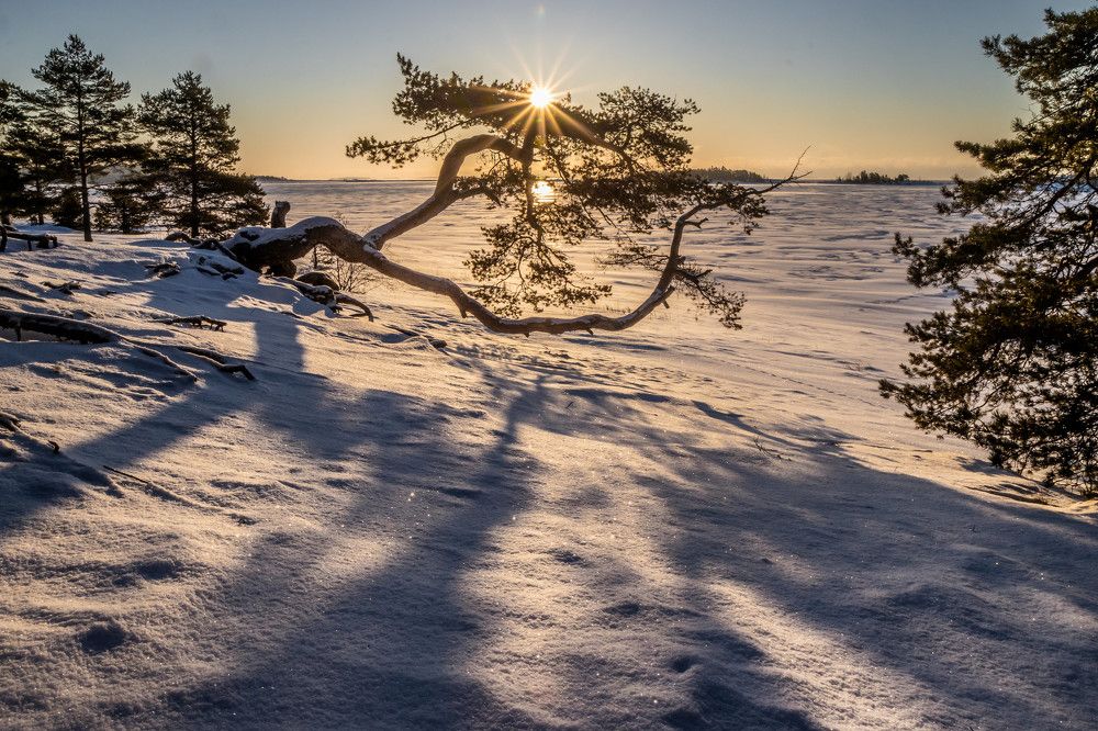 Photograph by Svetlana Dorokhova